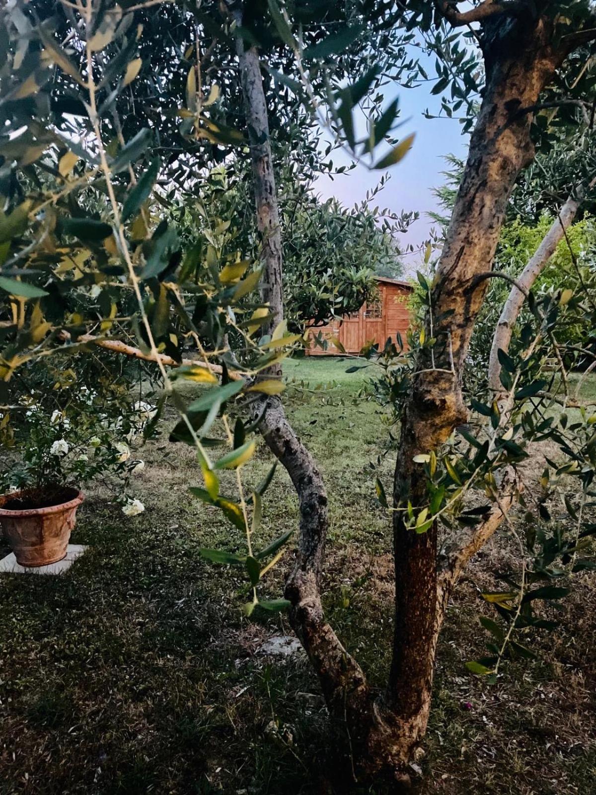 Bed and Breakfast Rosso Del Chianti Panzano in Chianti Exterior foto